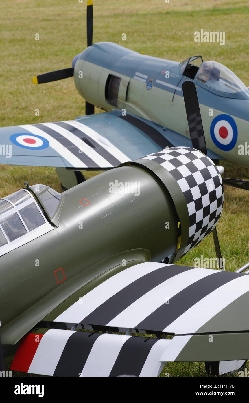 Hawker Sea Fury and P-47 Thunderbolt, Large scale model aircraft at RAF Cosford Airfield Stock Photo
