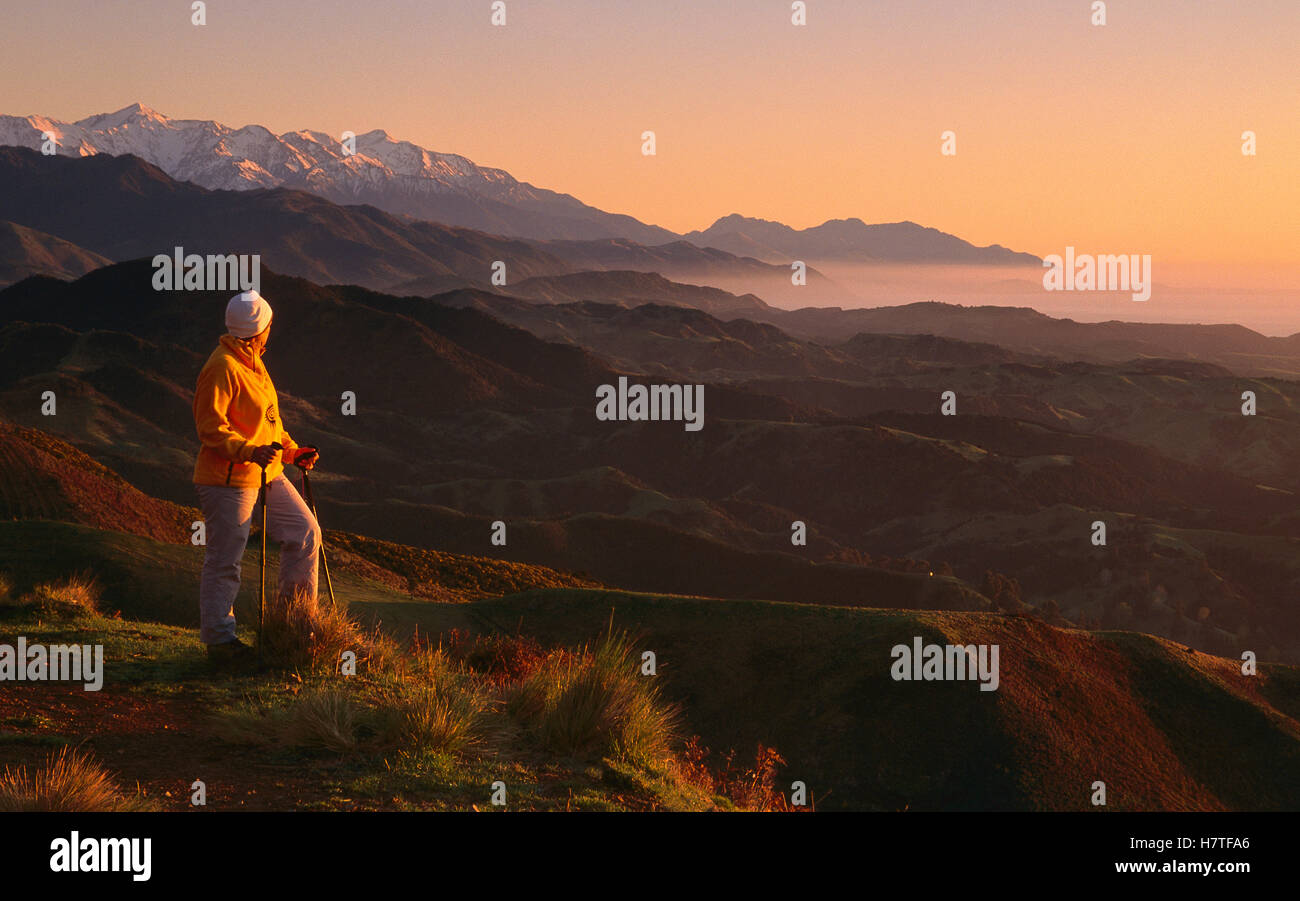 Trekker at dawn, Kaikoura Walkway, Seaward Kaikoura Mountains behind, New Zealand Stock Photo