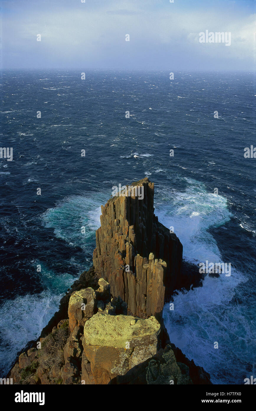 Dolerite columns, Cape Raoul, Tasmania, Australia Stock Photo - Alamy