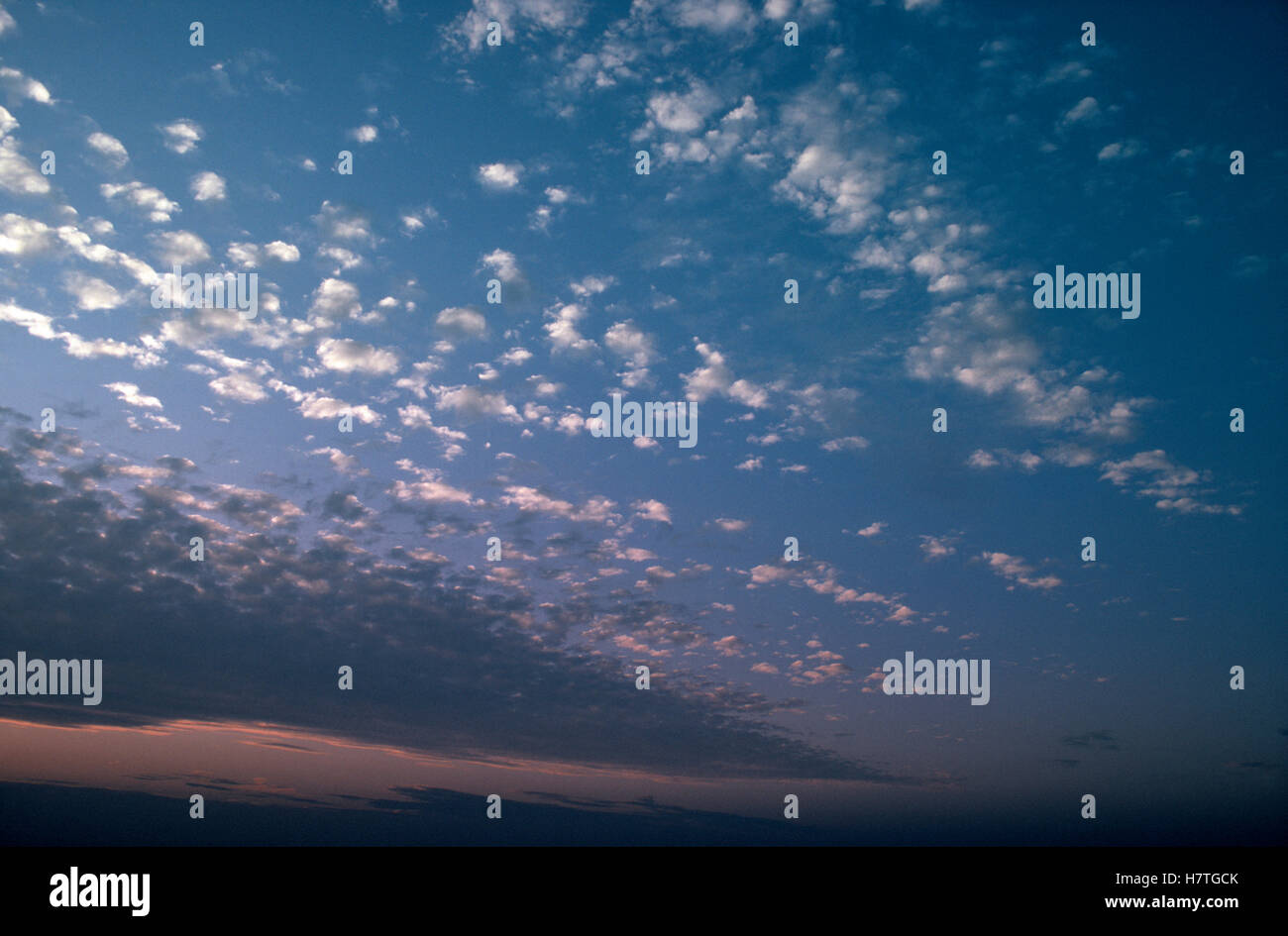 Altocumulus clouds in sky Stock Photo - Alamy