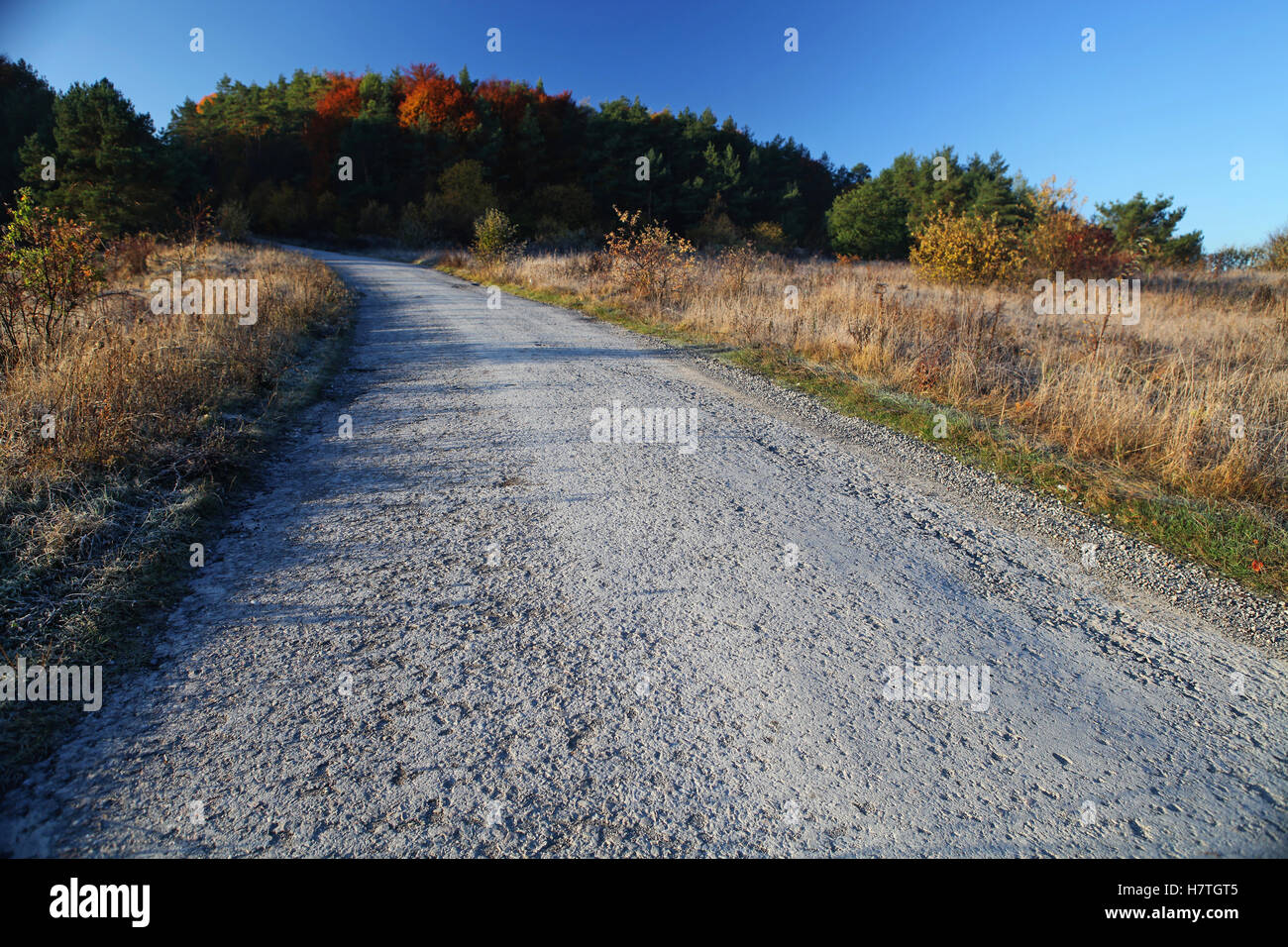 Asphalt road through the field hi-res stock photography and images - Alamy