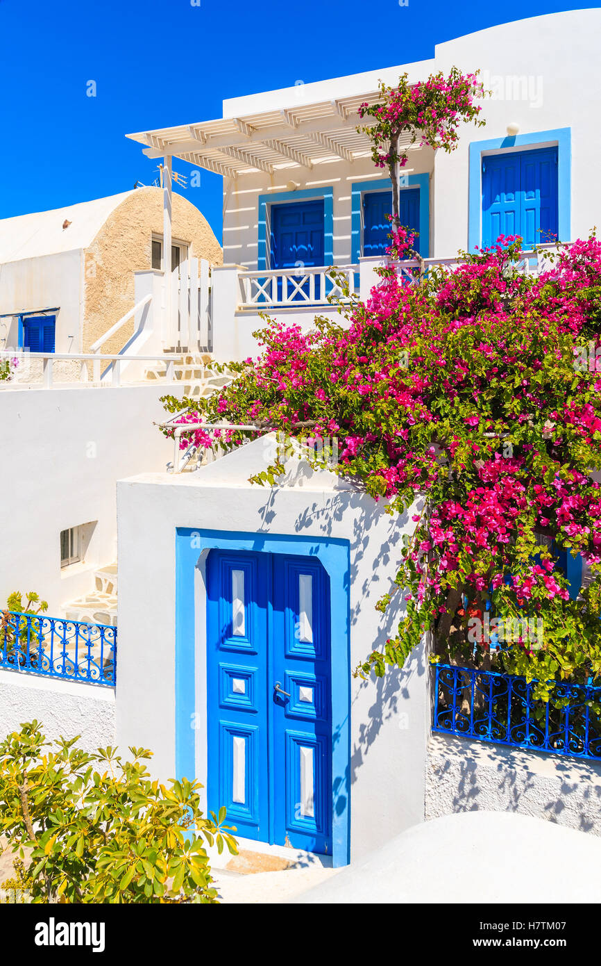 Typical white and blue Greek house decorated with red flowers in Oia village on Santorini island, Greece Stock Photo