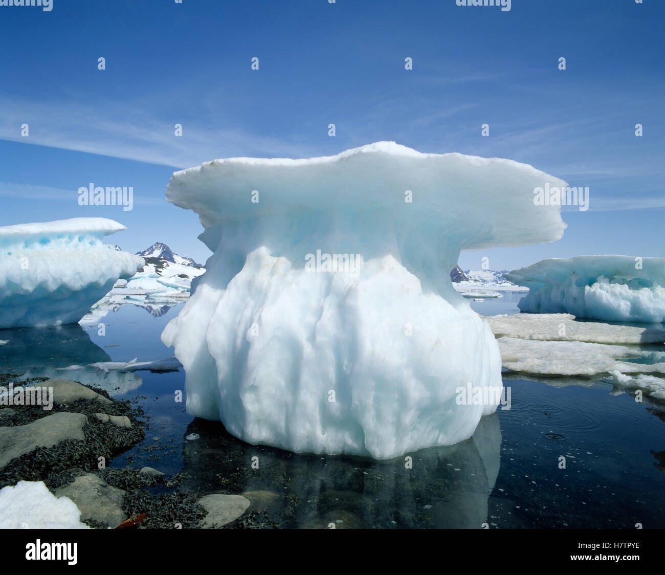 Melting snow and ice, Greenland Stock Photo Alamy