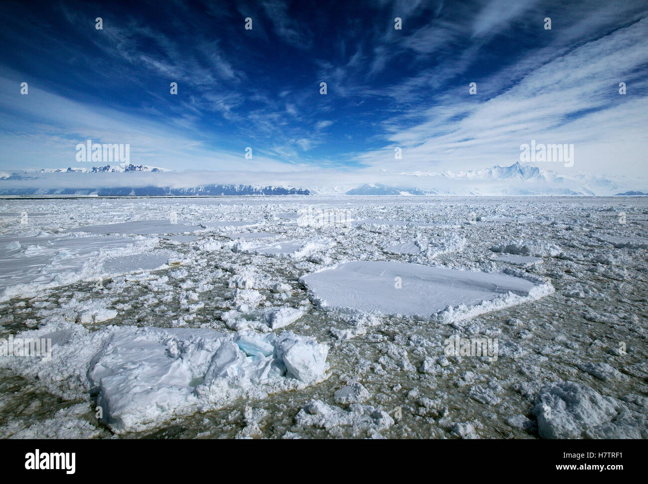 Brash ice, Antarctica Stock Photo Alamy