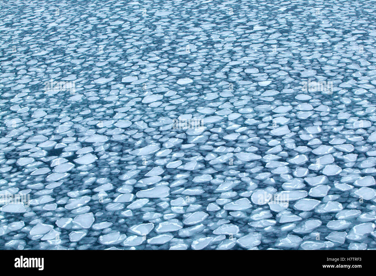 Brash ice, Antarctica Stock Photo Alamy