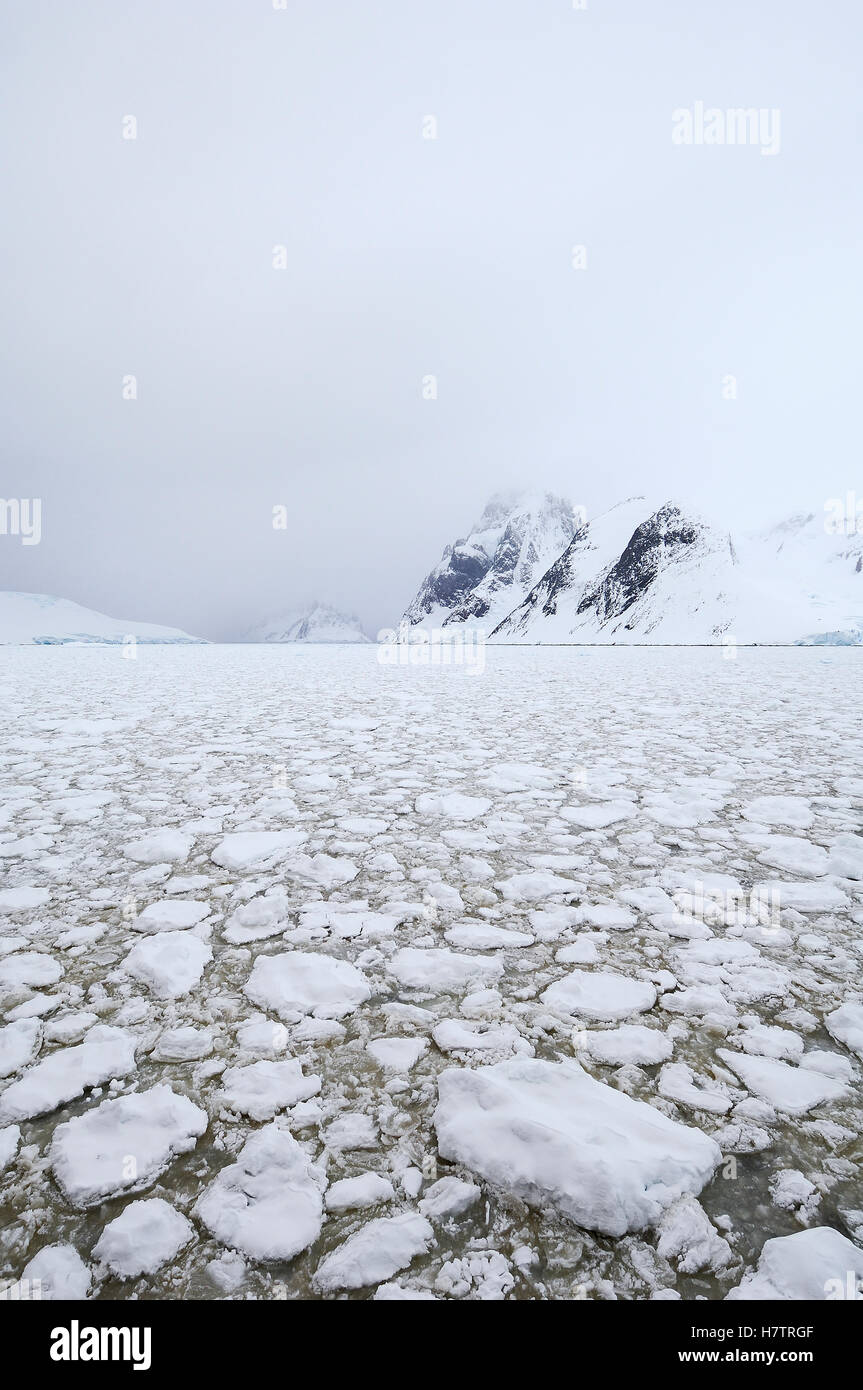 Brash ice, Antarctica Stock Photo Alamy