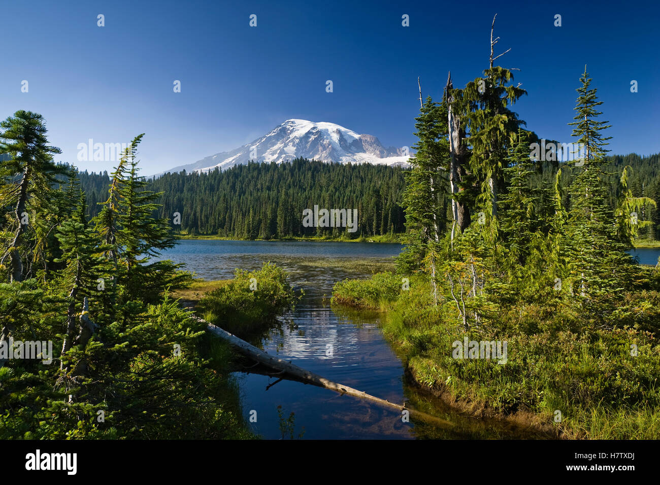 Reflection Lake with Mount Rainier, Mount Rainier National Park, Washington Stock Photo Alamy