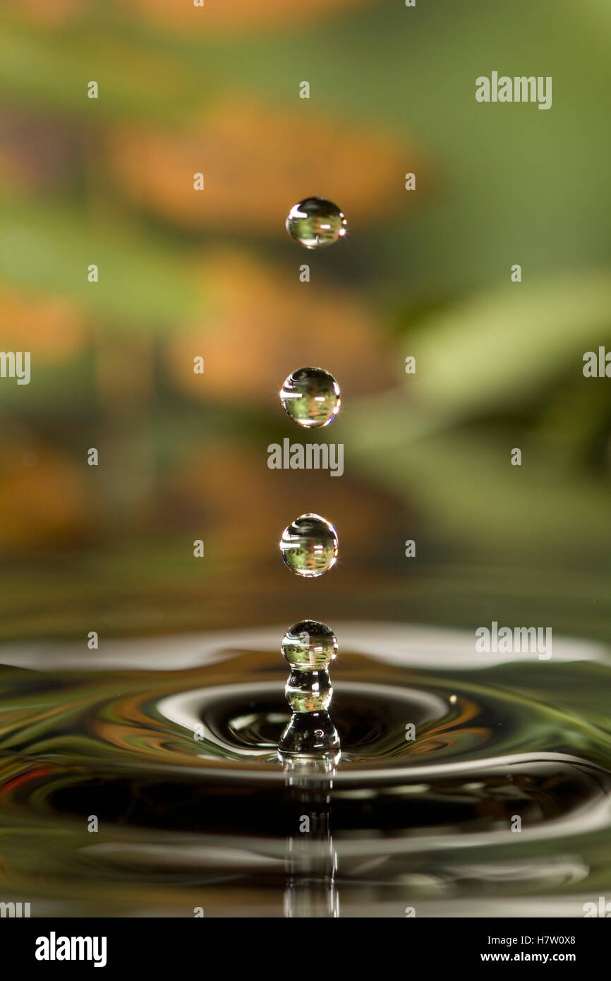Drops of water falling, Oregon Stock Photo
