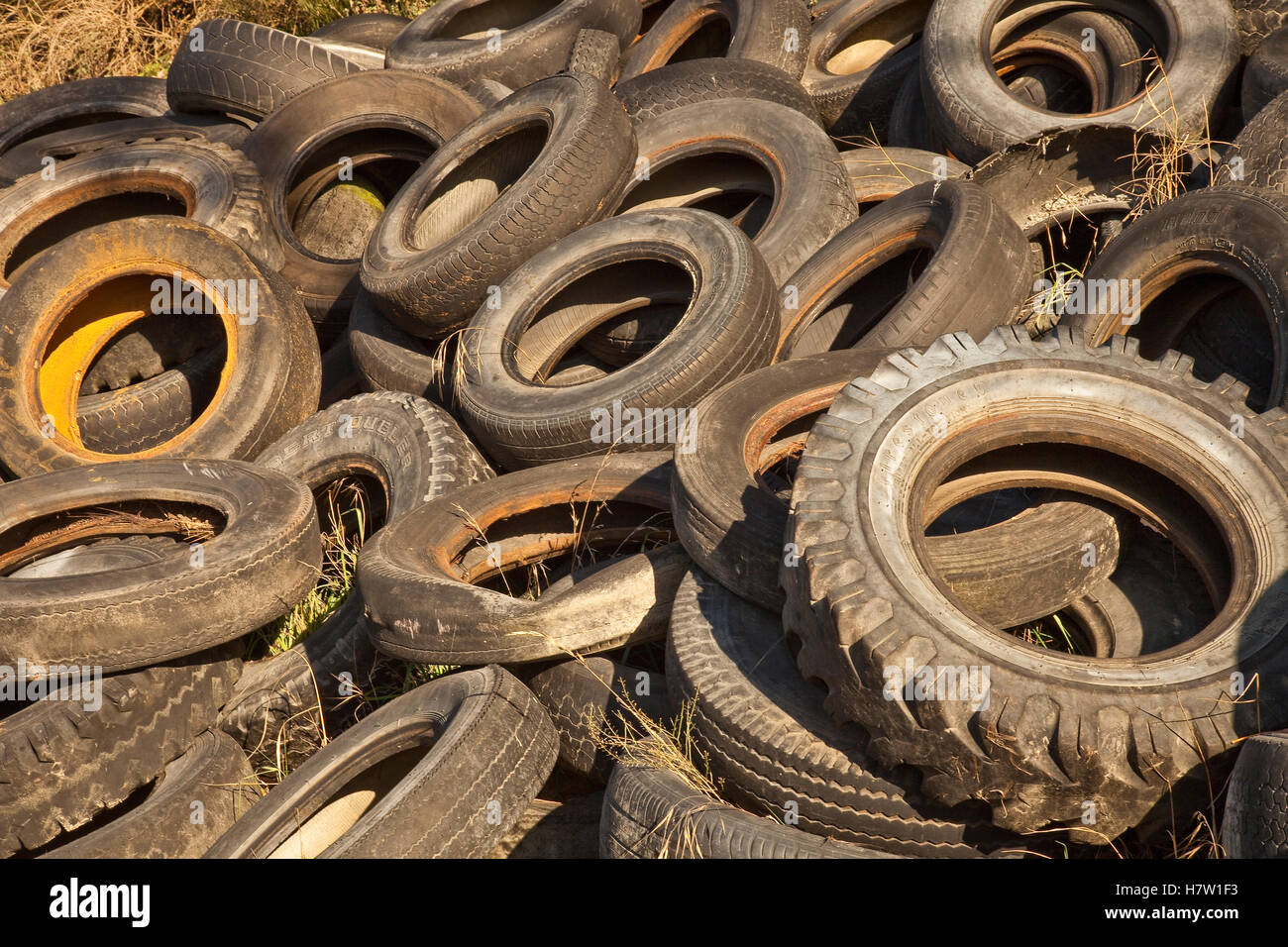 Abandoned car tires in junkyard, Christchurch, New Zealand Stock Photo