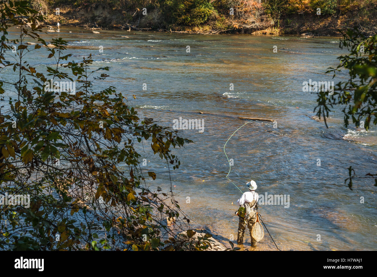 Fly fishing at the Chattahoochee River National Recreation Area at Paces Mill in Atlanta, Georgia, USA. Stock Photo