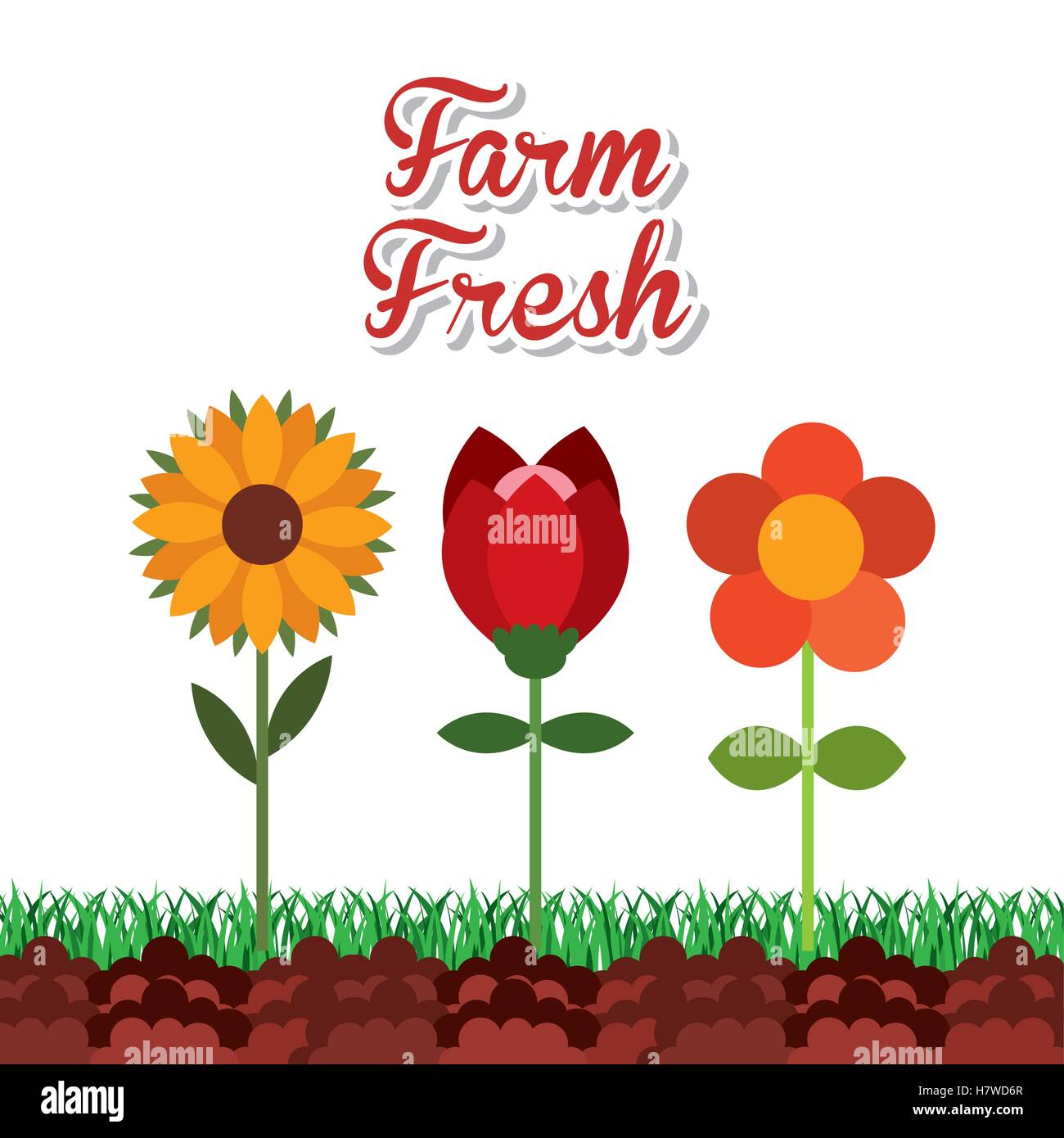 farm fresh concept icon vector illustration design Stock Vector Image ...