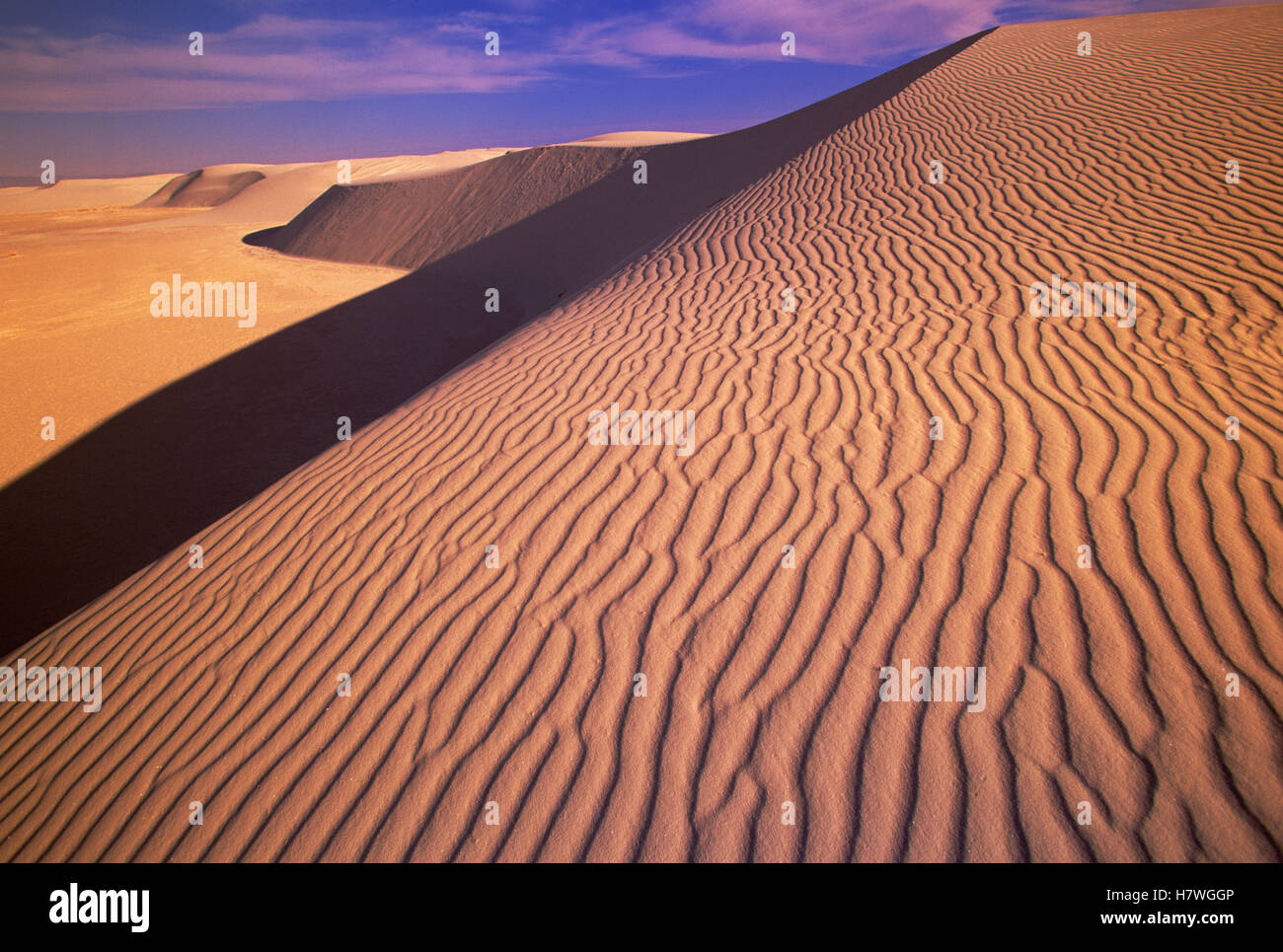 Gypsum sand dunes in the evening light, patterns and ridges caused by wind, White Sands National
