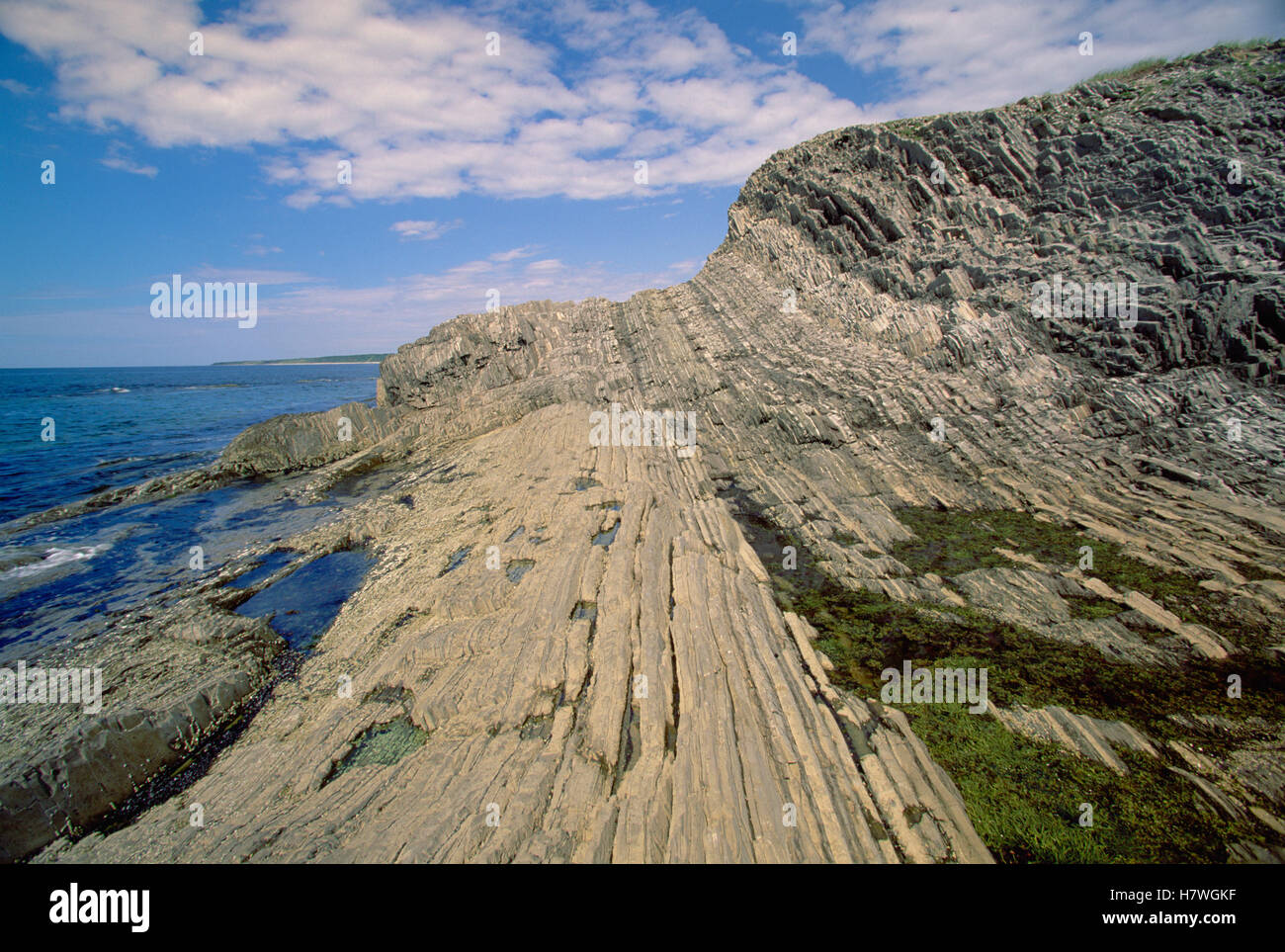 Uplifted Rocks Sedimentary rock, some of the oldest exposed rock, uplifted and piled ...