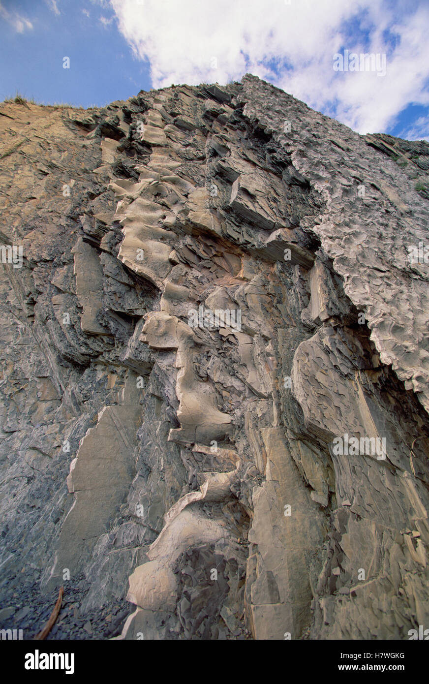 Uplifted Rocks Sedimentary rock, some of the oldest exposed rock, uplifted and piled ...
