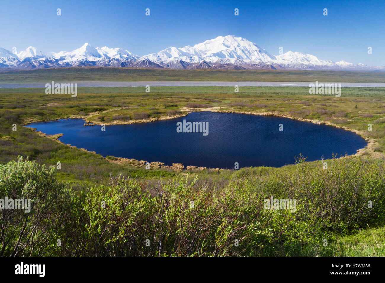 Scenic view of a kettle pond with Denali and the Alaska Range in the