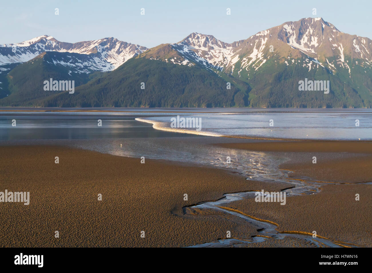Large bore tide rolls across Turnagain Arm, Southcentral Alaska, USA