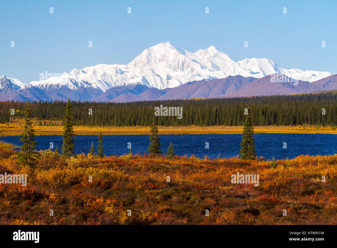 Parks hwy north cantwell alaska hires stock photography and images Alamy