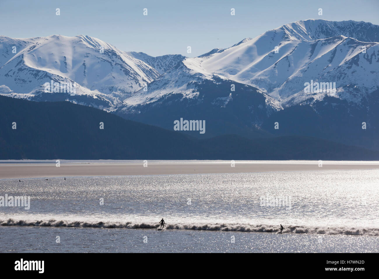 Surfers ride a large bore tide in Turnagain Arm in Summer. Southcentral