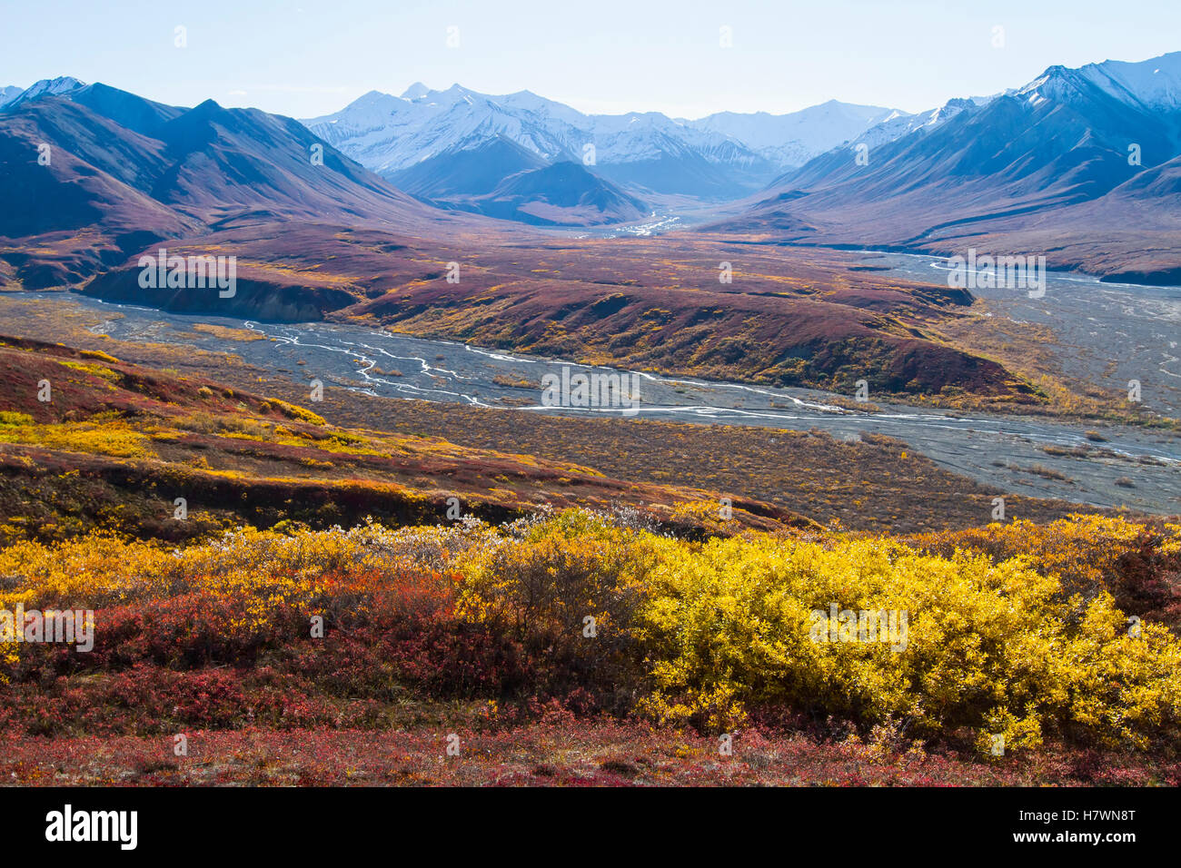 Colorful tundra scenic, Denali National Park & Preserve. Interior ...