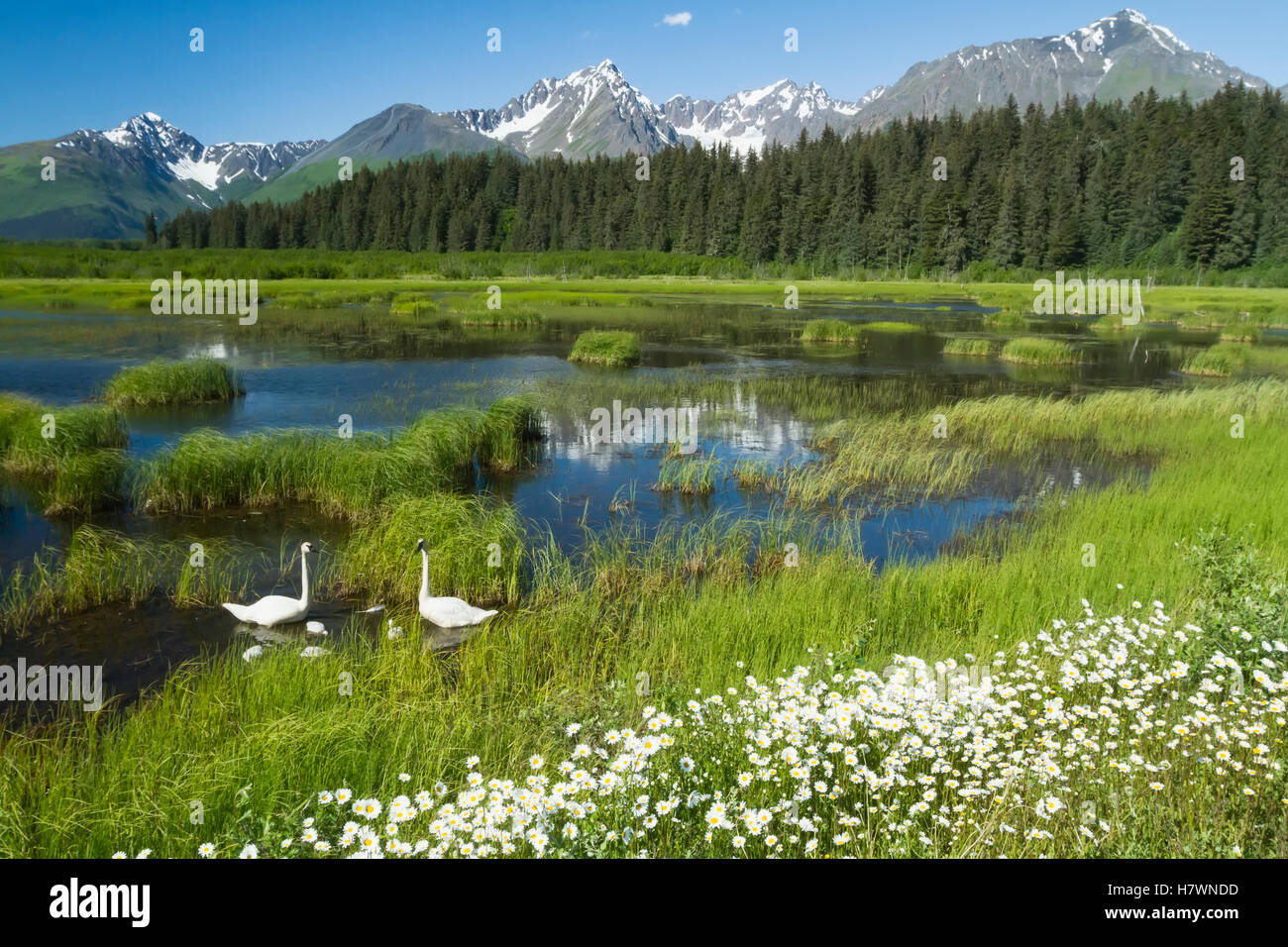 Swan mountain road High Resolution Stock Photography and Images Alamy