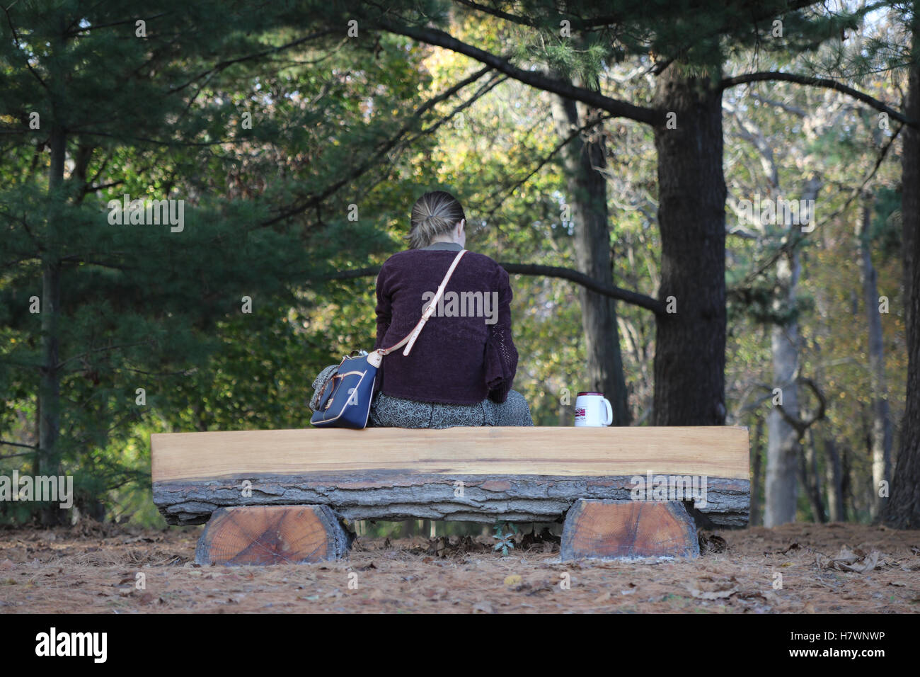 Autumn at Herrick Lake . Young female is sitting on wooden bench at the park. Stock Photo