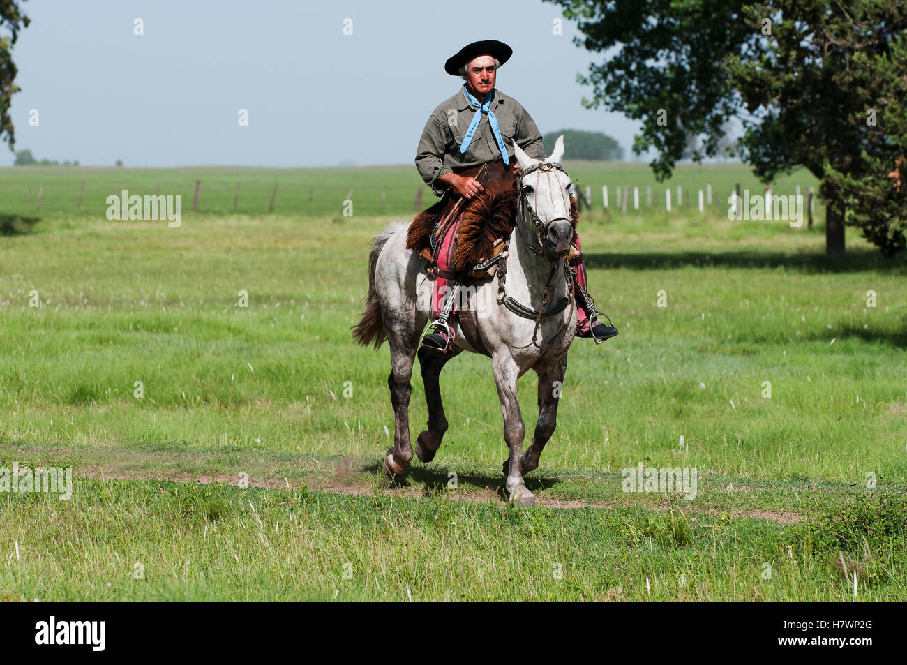 Gaucho on a horse; Argentina Stock Photo