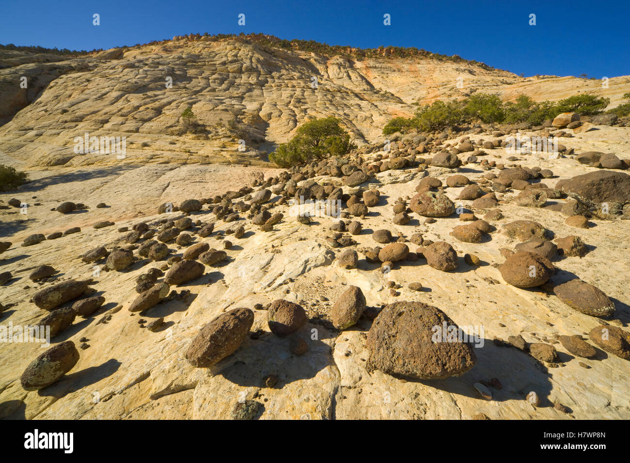 Boulders atop petrified sand dunes created millions of years ago by