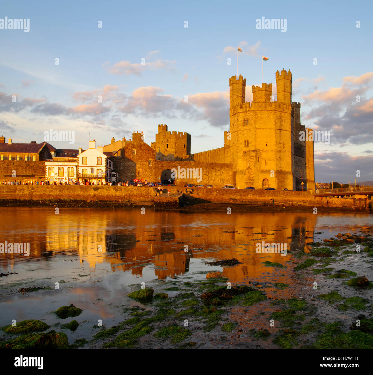 Caernarfon Castle, Wales Stock Photo Alamy