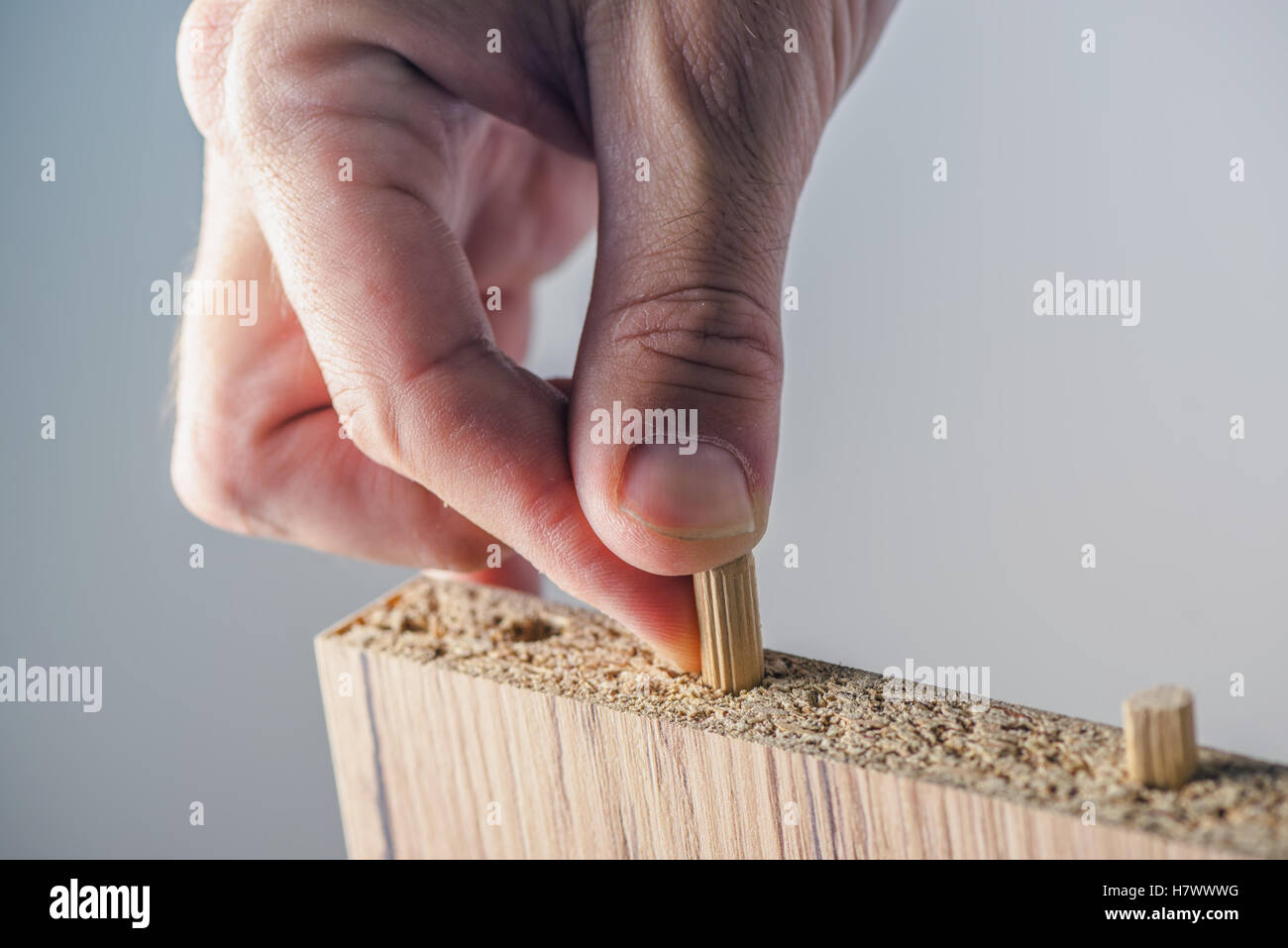 Man assembling furniture at home, male hand with wooden dowel pins and plywood board Stock Photo