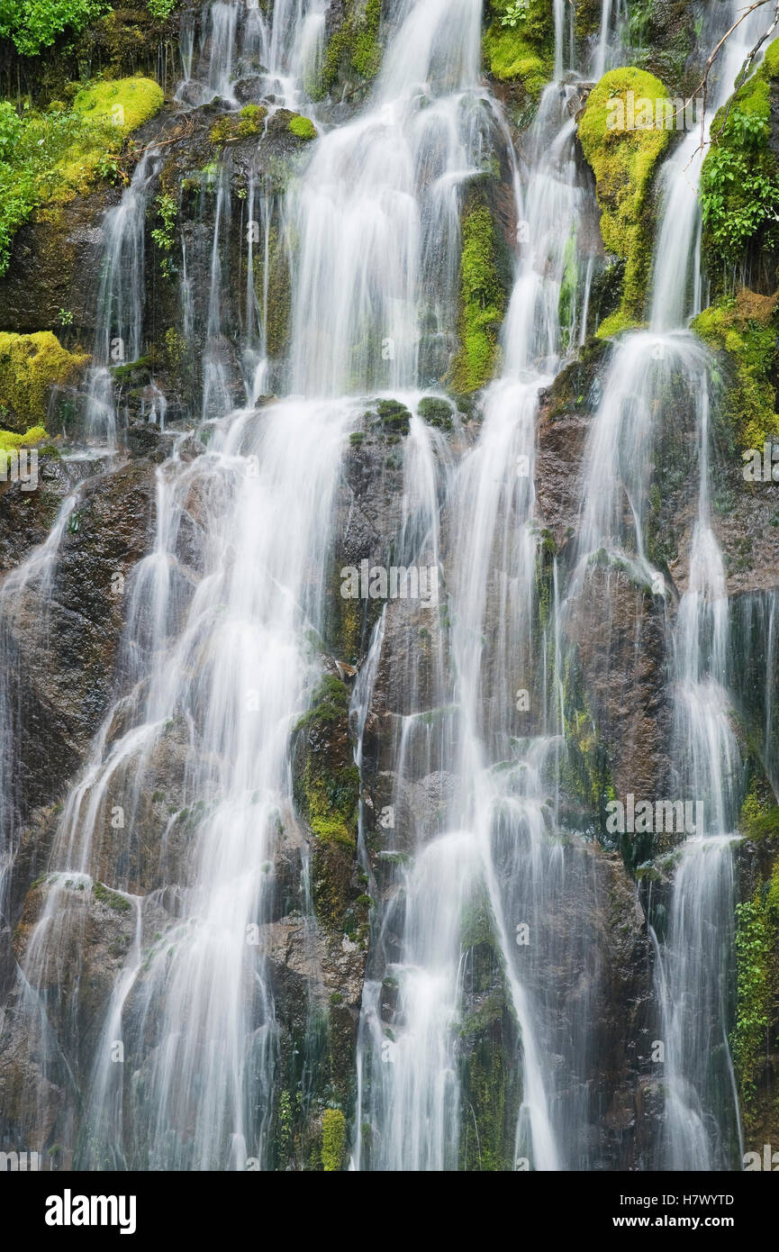 Panther Creek Falls, Gifford Pinchot National Forest, Washington Stock