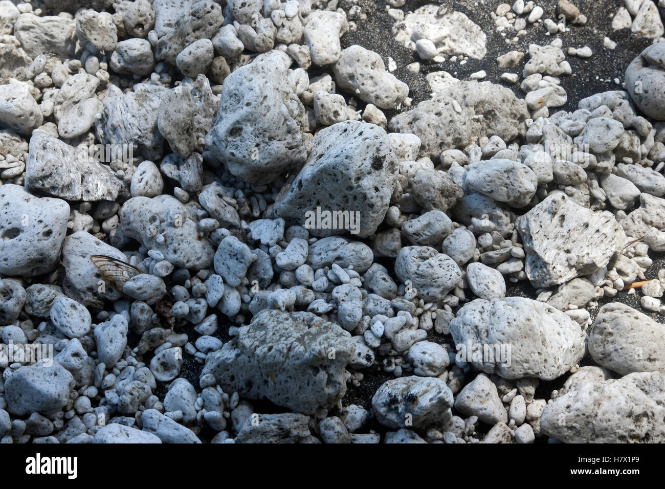 Krakatoa volcano pumice washed up on beach in May 2009, Ujung Kulon National Park, Sunda Strait, Indonesia Stock Photo
