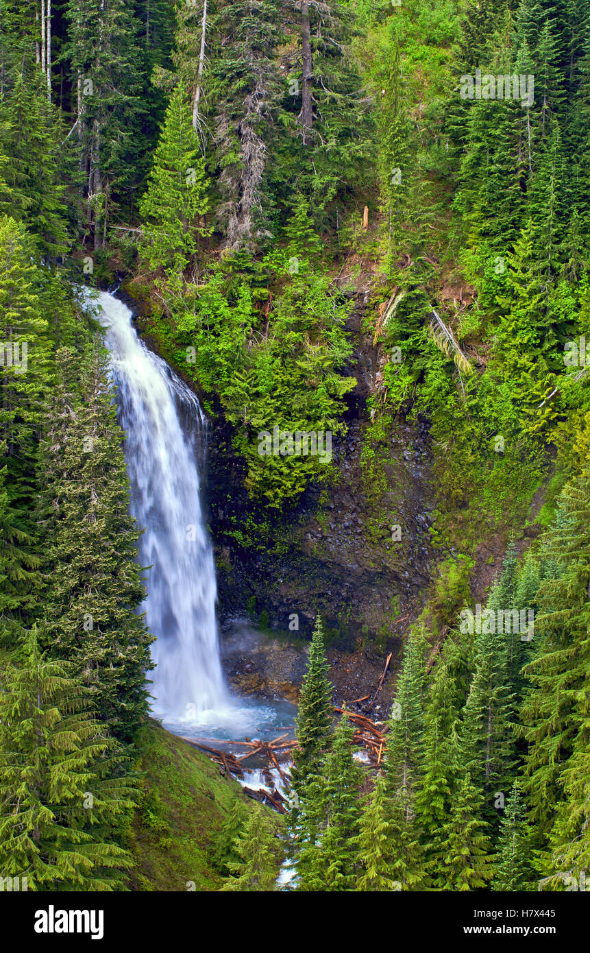 Sylvia Falls cascading in Steven's Woods, Mount Rainier National Park ...