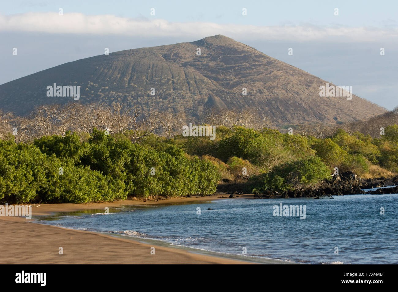Espumilla Beach, Santiago Island, Galapagos Islands, Ecuador Stock