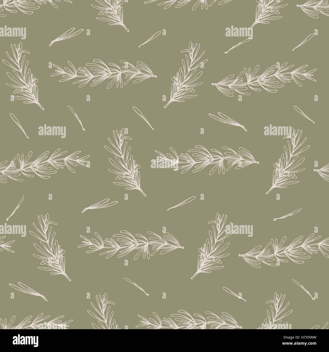 Seamless vector pattern with hand drawn rosemary, herbs background ...
