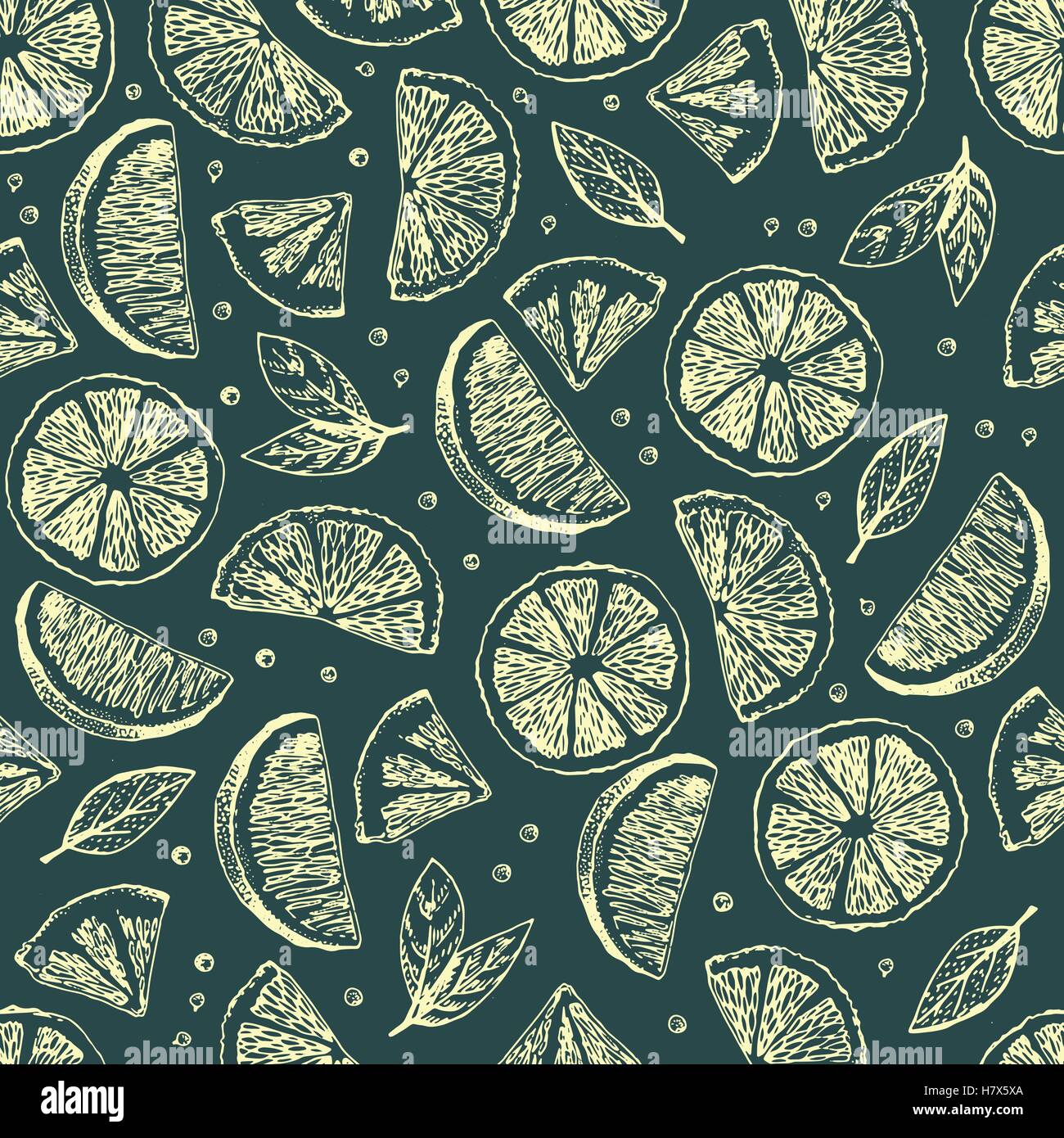Seamless vector pattern with hand drawn limes Stock Vector Image & Art ...