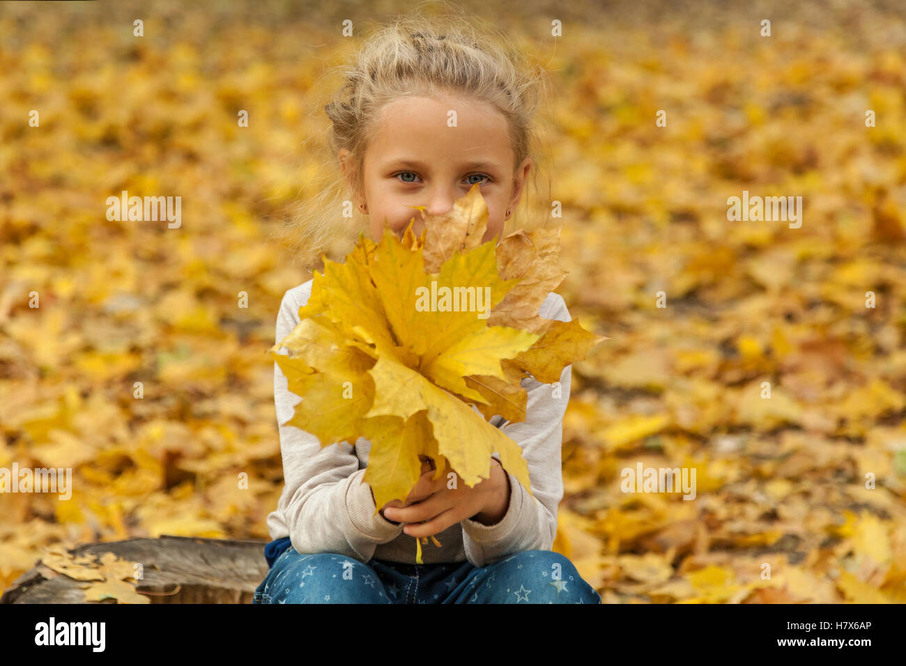 Girl in autumn leaves.Happy little girl with the bouquet of yellow ...
