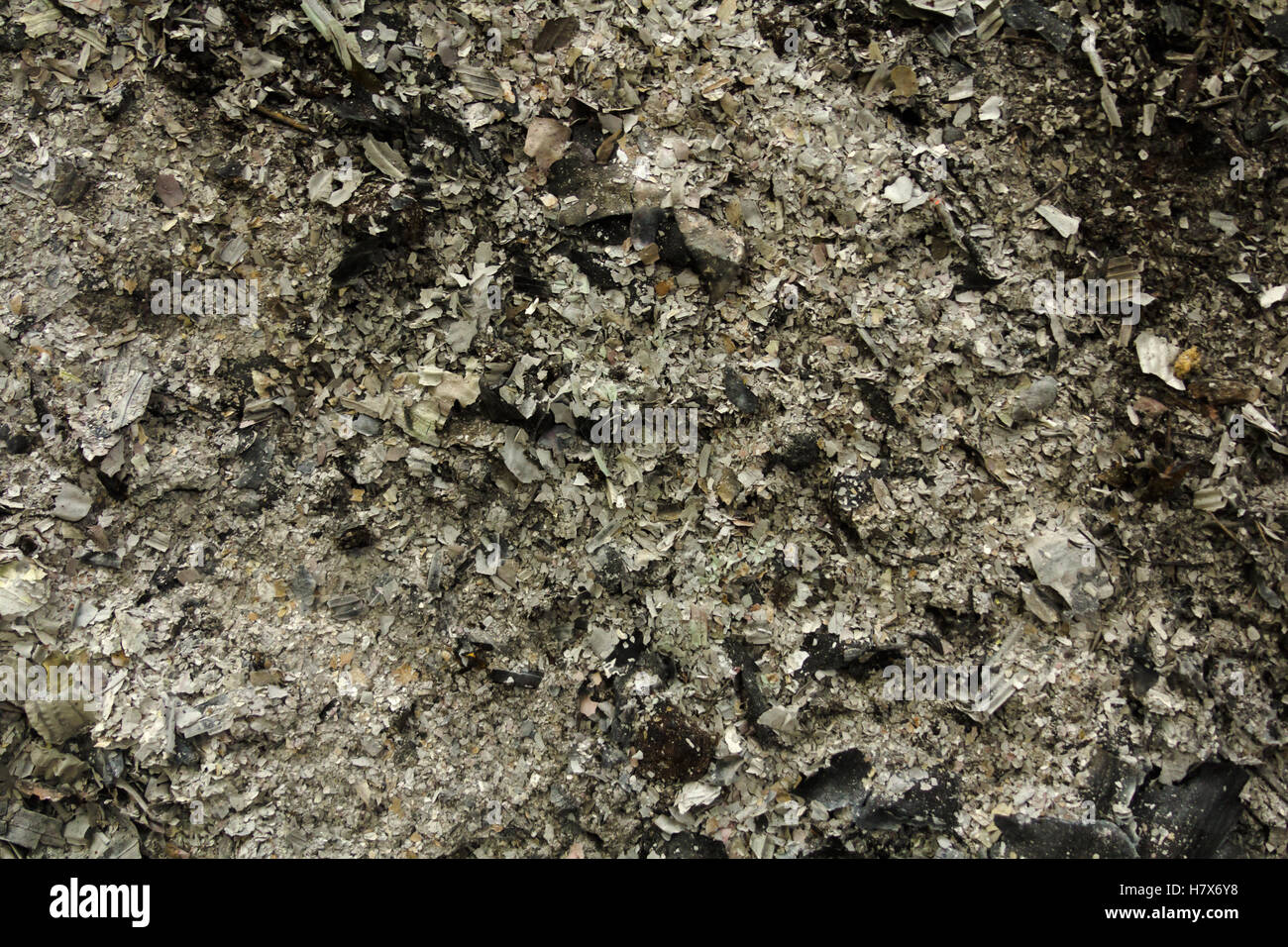 Ashes texture Stock Photo
