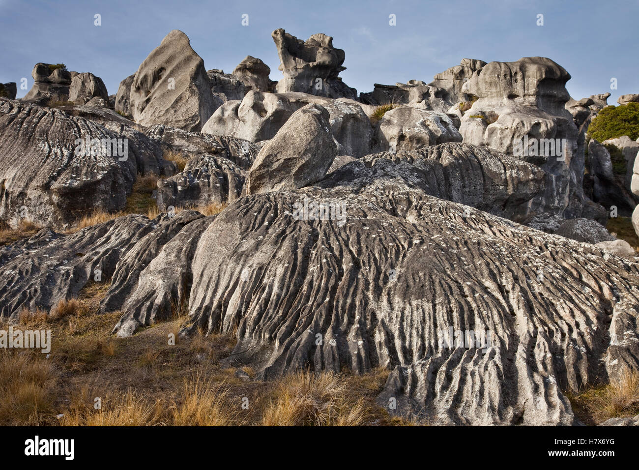 Flock Hill limestone boulders eroded by rain, Castle Hill Basin ...