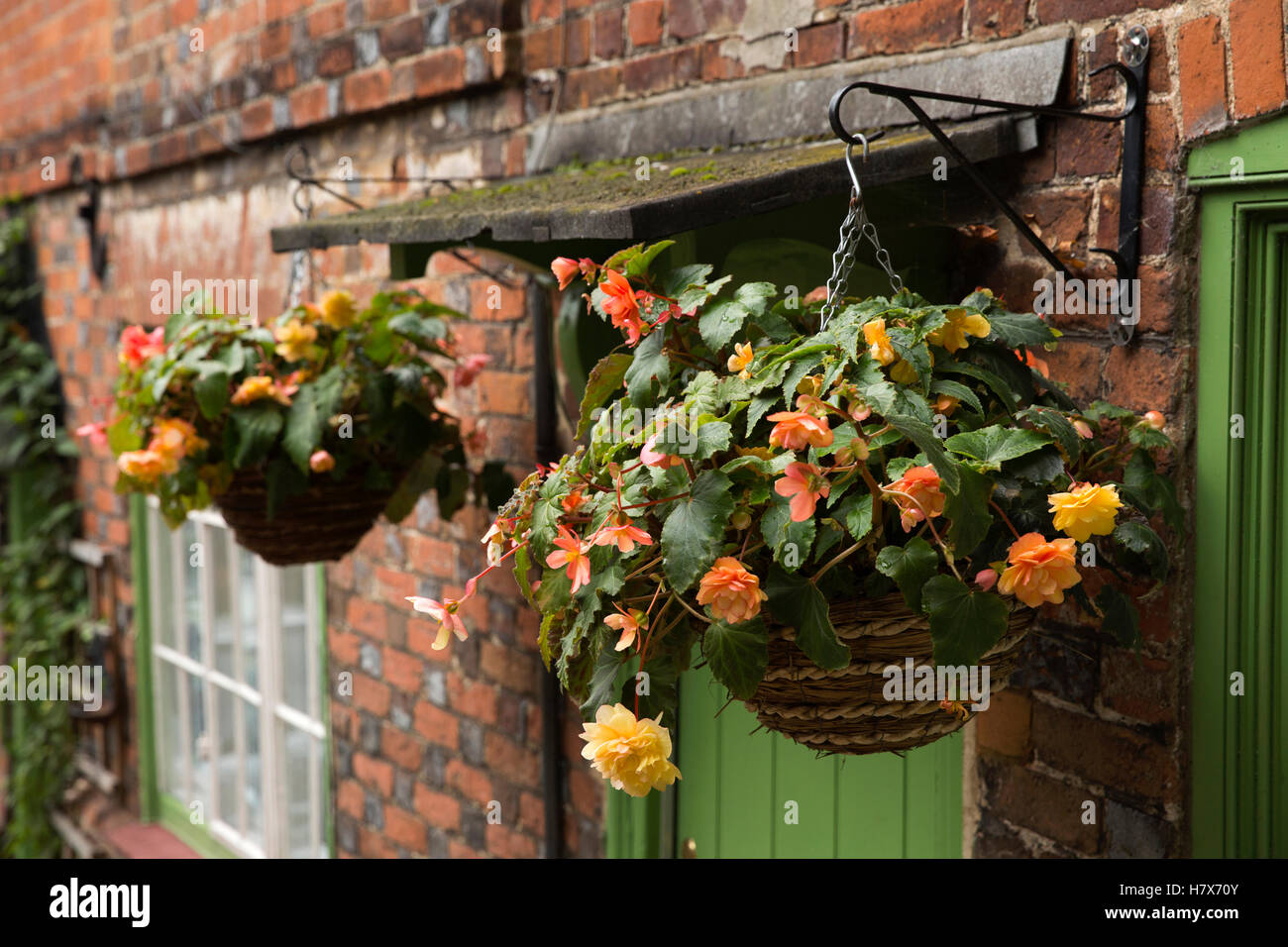 UK, England, Buckinghamshire, West Wycombe, Church Lane, begonia flowers in autumnal floral hanging baskets outside house door Stock Photo
