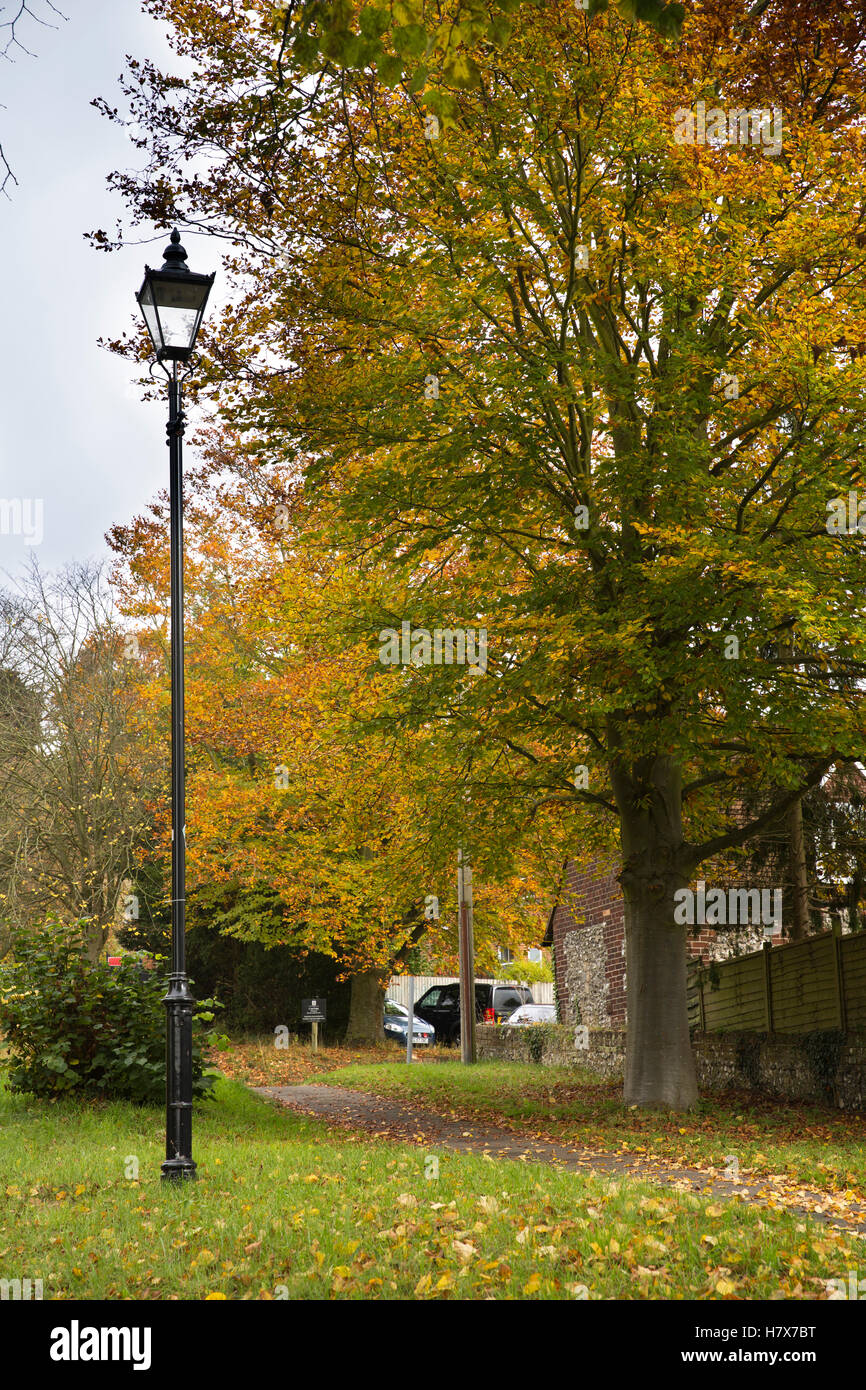 UK, England, Buckinghamshire, West Wycombe, Church Lane, autumnal beech trees and street lamp beside road Stock Photo