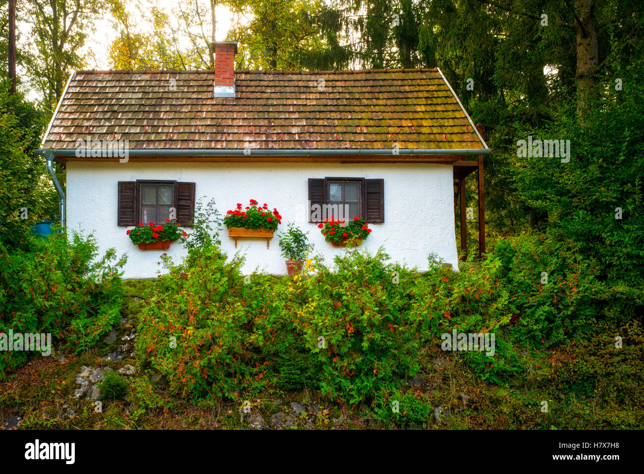 White cottage  in the woods Oriszenpeter Hungary Stock Photo