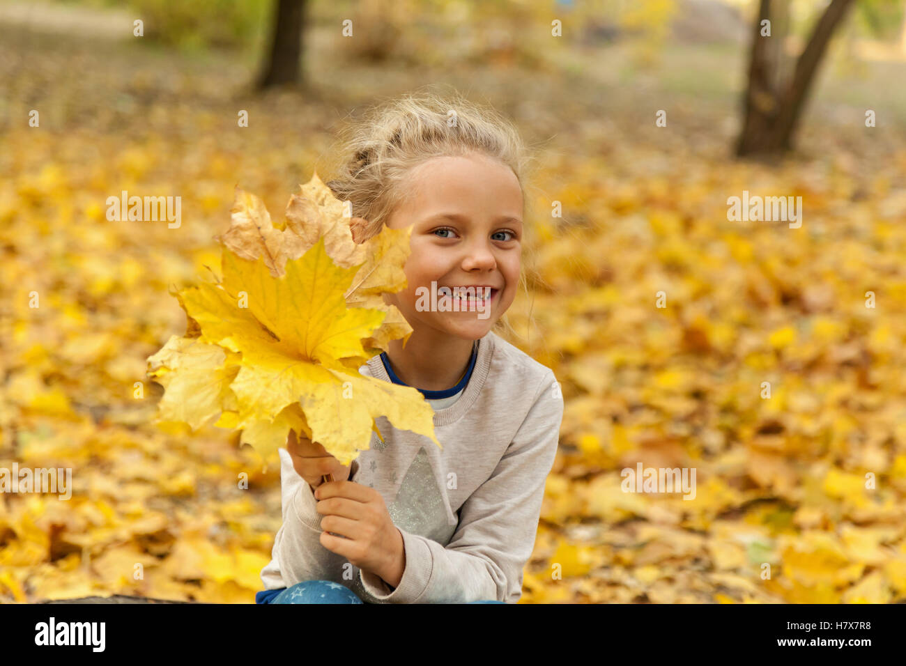 Little girl with a bouquet of autumn leaves. Little girl in the park ...