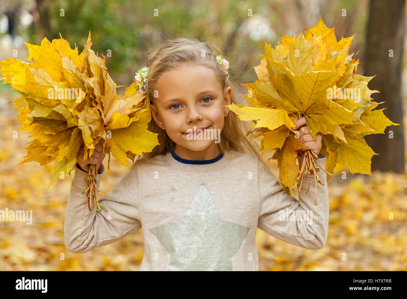 Little girl with a bouquet of autumn leaves. Little girl in park ...