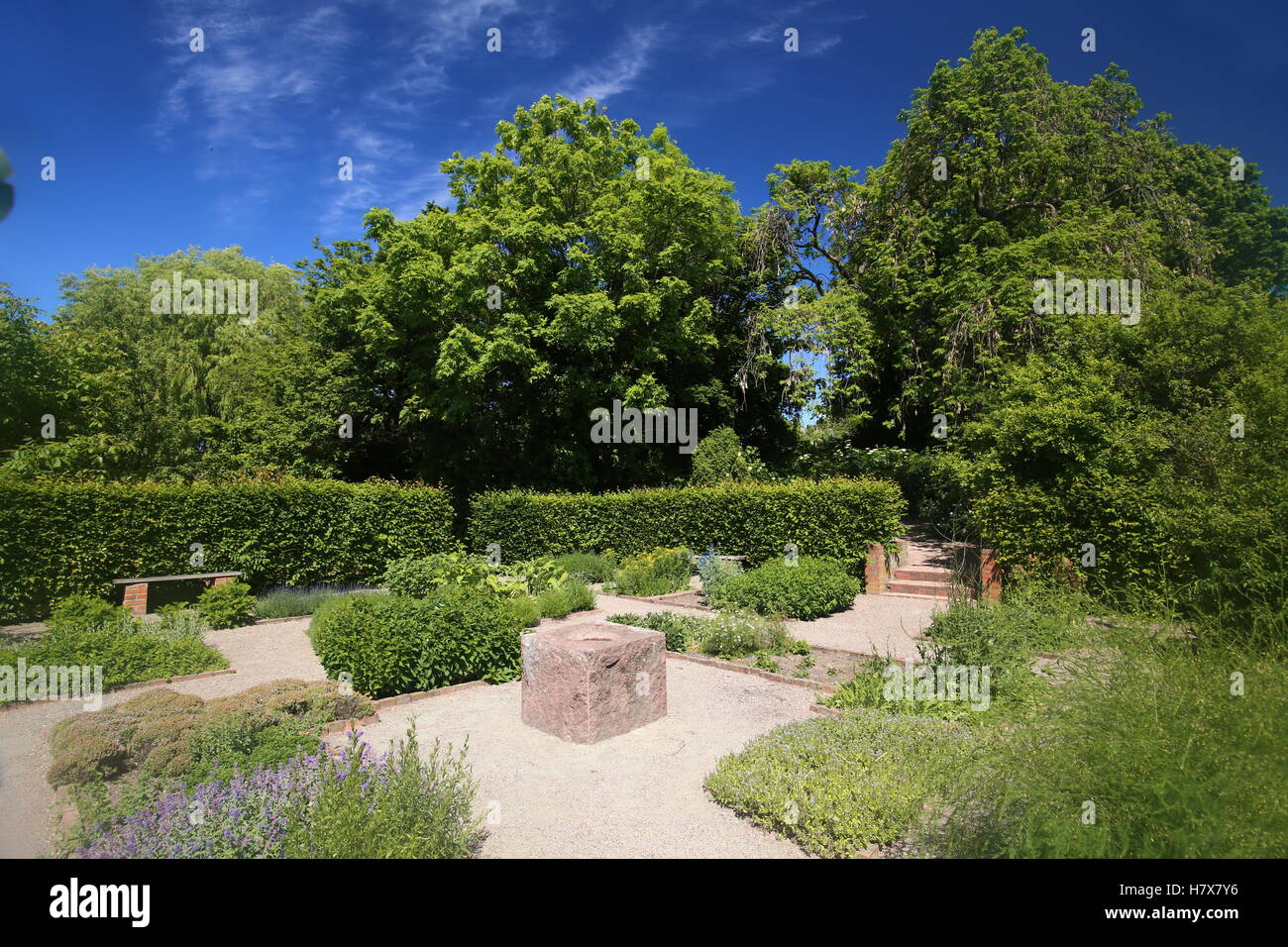 Herb garden in Trelleborg in southern Sweden. Stock Photo