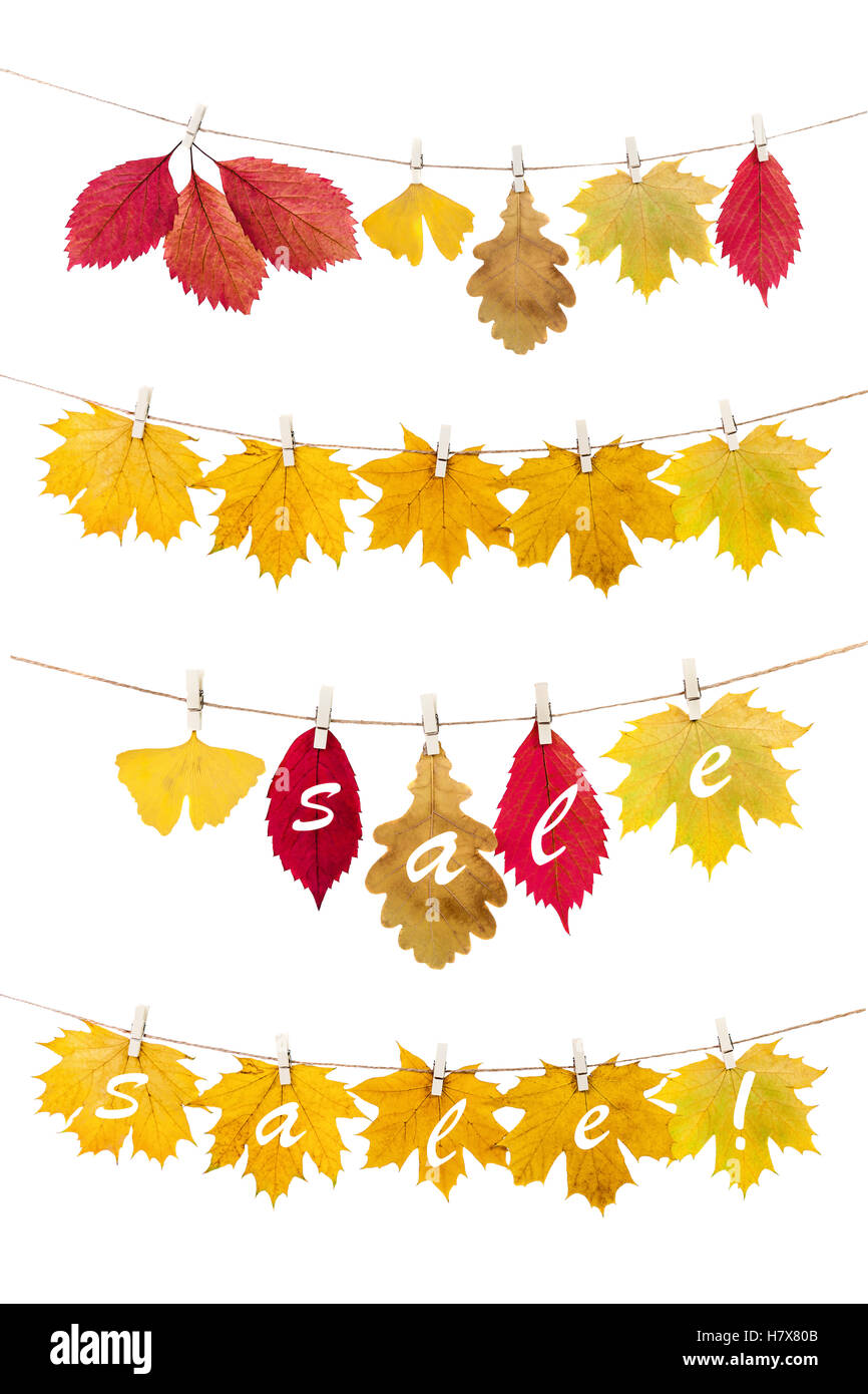 Autumn leaves.The multicolored fallen autumn leaves for sale , hanged