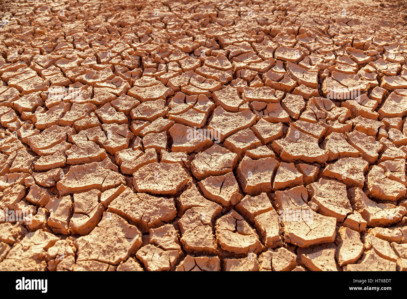 Parched earth.Land with dry cracked ground without water. Stock Photo