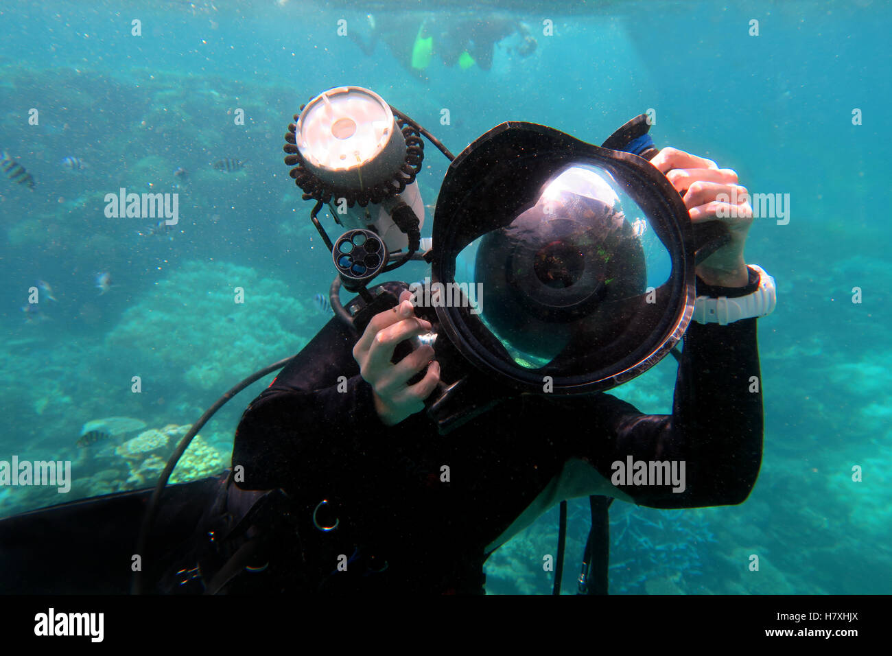 Person Underwater Camera High Resolution Stock Photography and Images Alamy