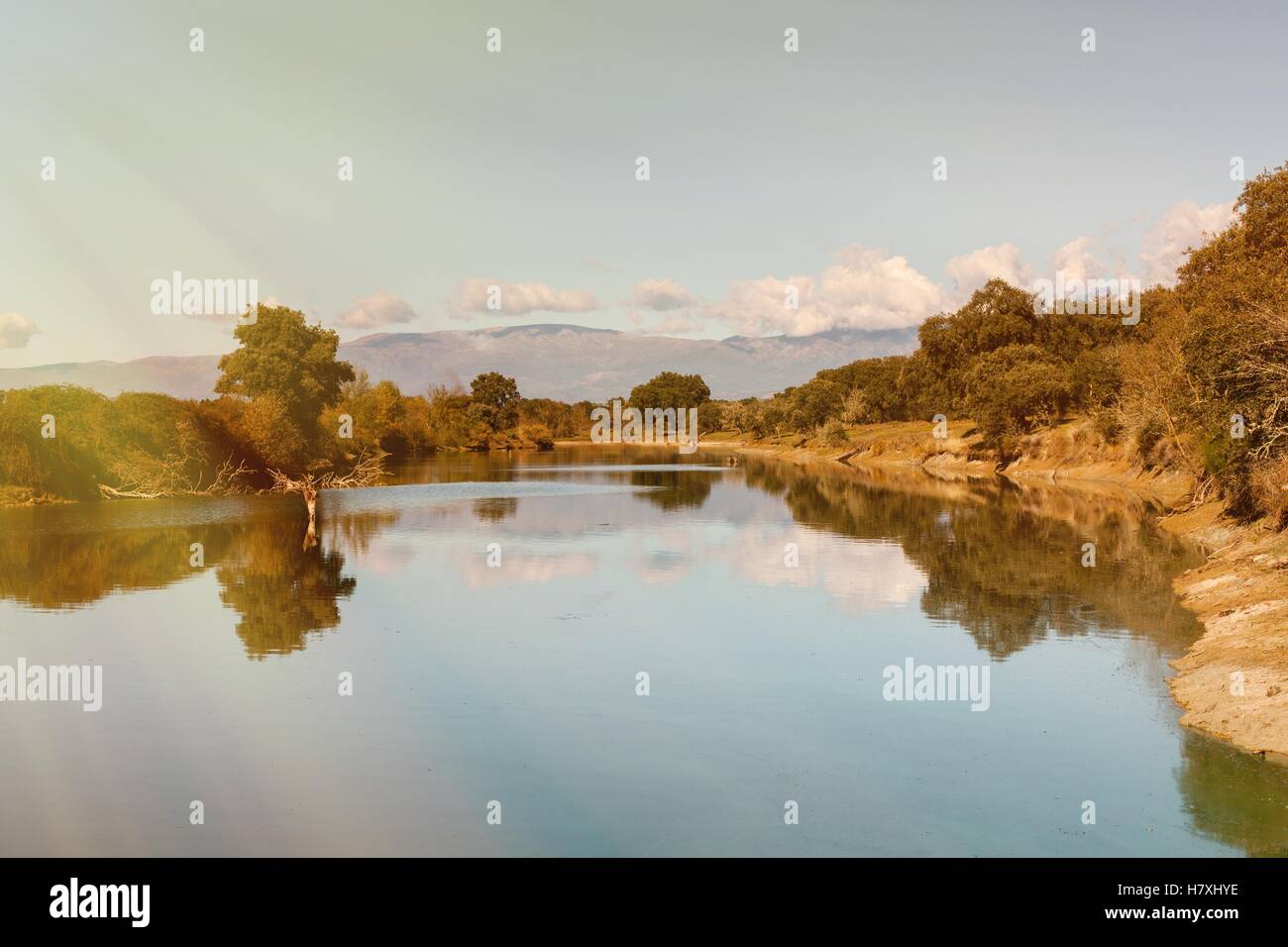 Beautiful scenery of the banks of a river with oak trees reflected in ...
