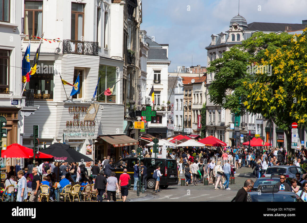 Brussels, Belgium, Rue Infante Isabelle, street in the old town with many restaurants, bars, shops, Stock Photo