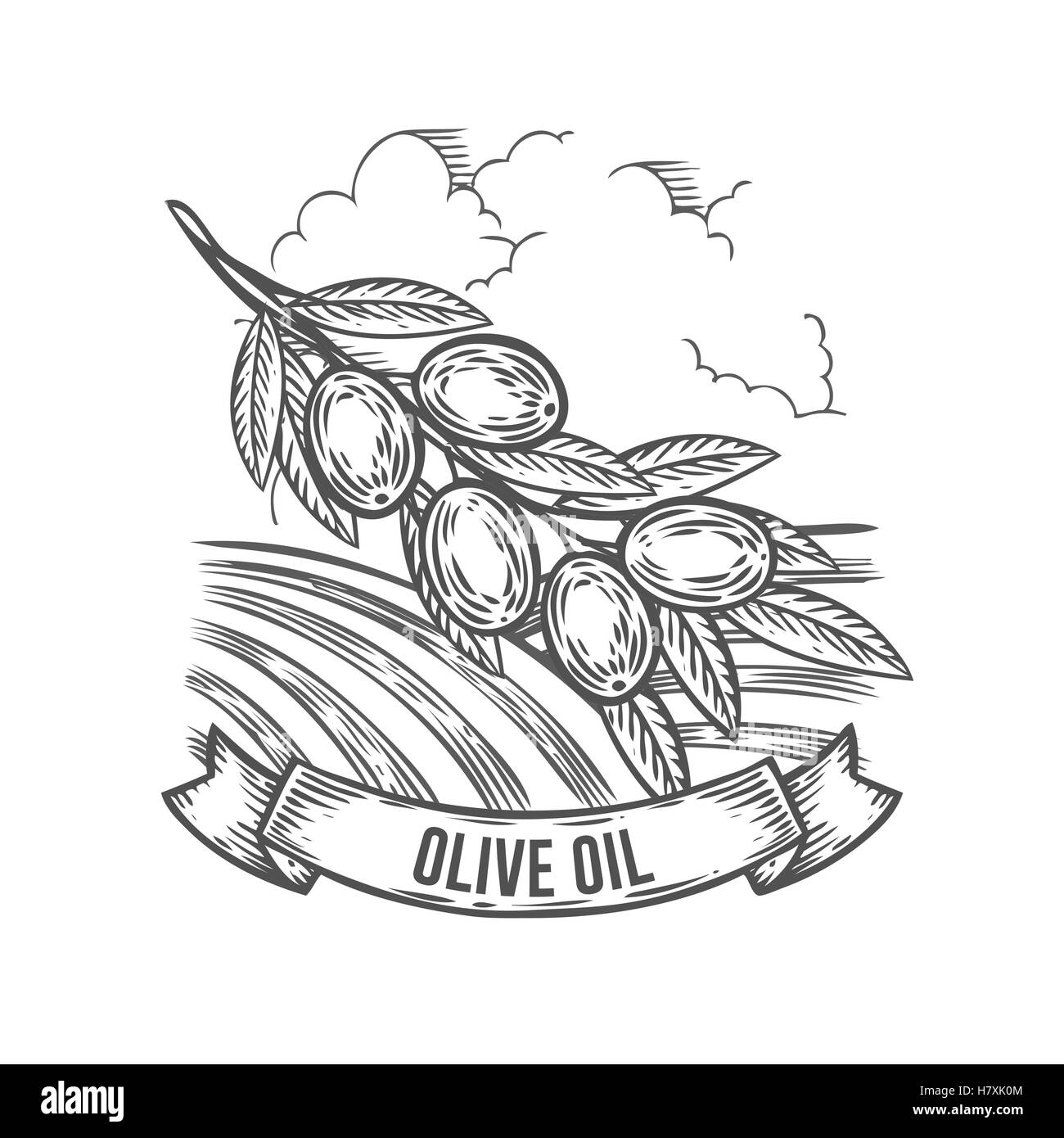 Olive oil extra virgin badge with branch. Monochrome vintage engraving ...